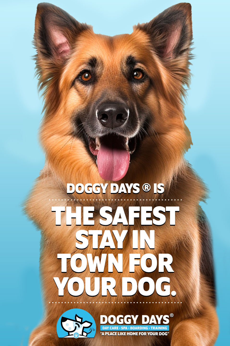 Safest Dog Boarding Day Care Round Lake Beach, IL