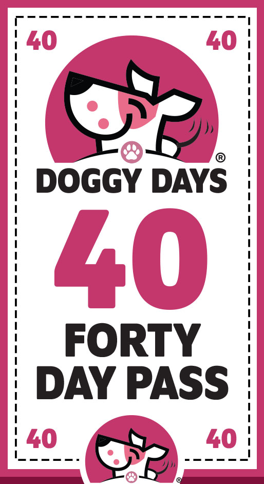 Dog Day Care Passes